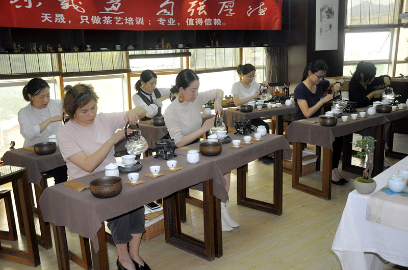 6月高级茶艺师培训考证哪里好?